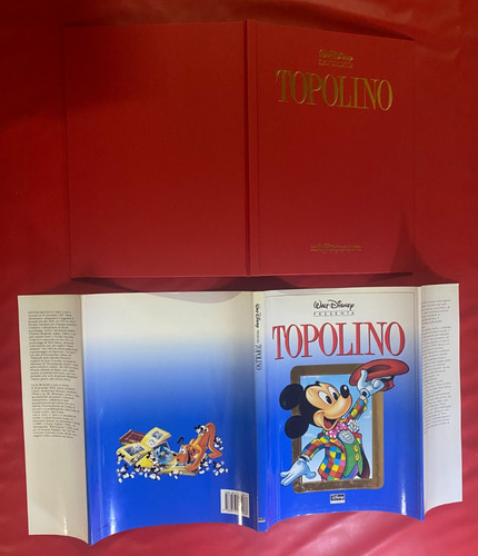 Topolino volume grande - volume, di