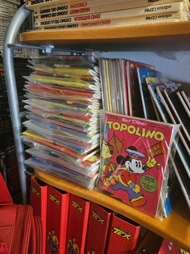 Topolino anastatica nerbini - anastatica,